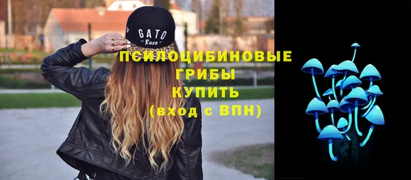 амф Белокуриха