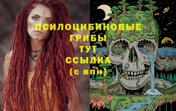 ГАЛЛЮЦИНОГЕННЫЕ ГРИБЫ Беломорск