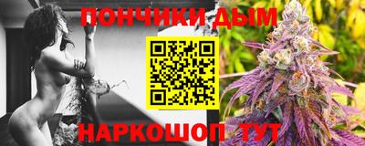 гашик Гатчина