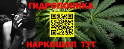 гашик Гатчина