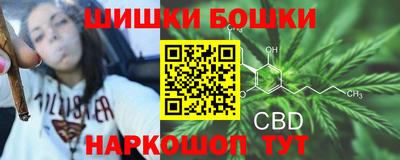 гашик Гатчина