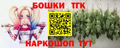 гашик Гатчина