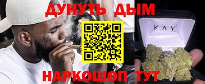 индика Гай