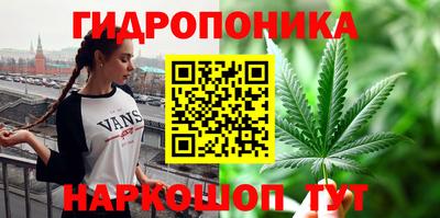 дмт Гусев