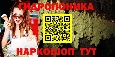 индика Гай