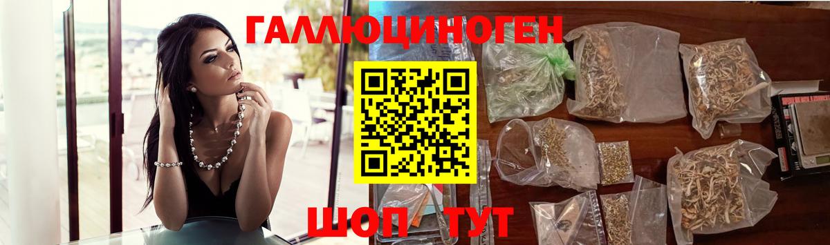 закладка  Воркута  Галлюциногенные грибы Cubensis 